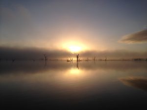 Fog Sunrise At Fyans Fog Sunrise At Fyans